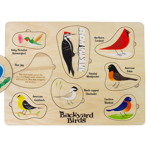 Wooden bird puzzle for children.