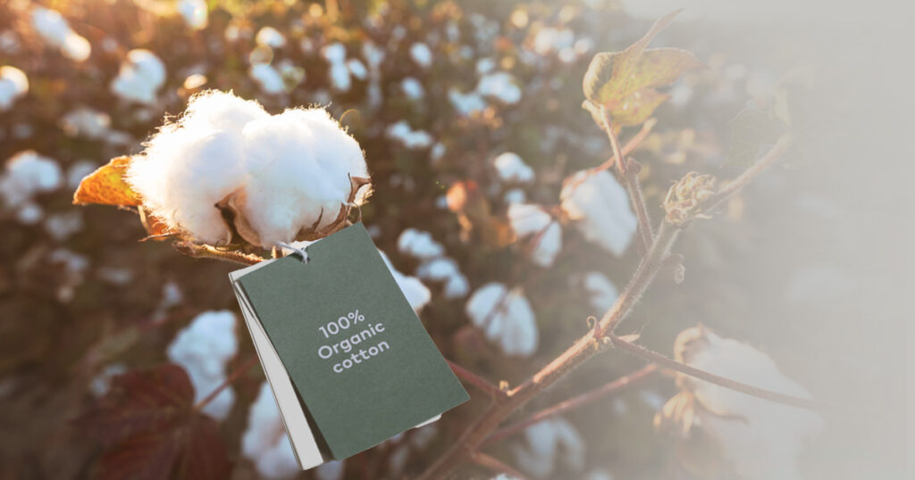 Cotton plant with label on it saying: 100% organic cotton.