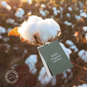 Cotton plant with label on it saying: 100% organic cotton.